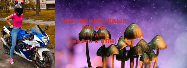 тгк Инсар