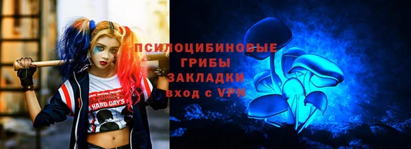 тгк Инсар