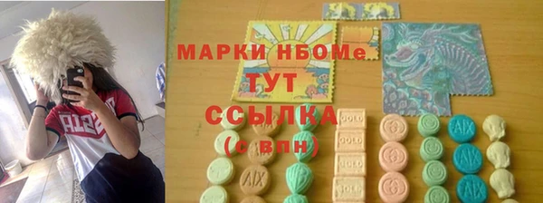 гашик Каменка