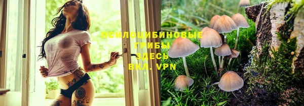 первитин Инта