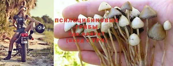 ALPHA PVP Каменск-Шахтинский