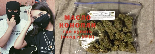 тгк Инсар