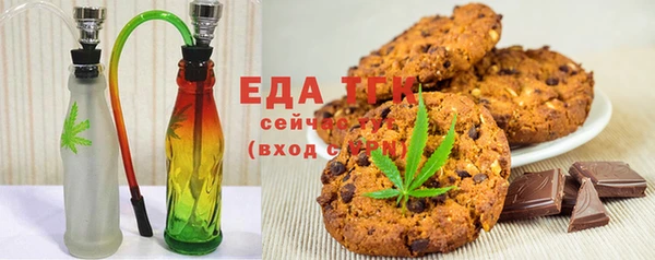 гашик Каменка