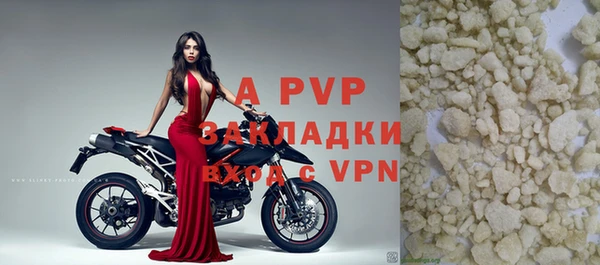 стафф Тутаев
