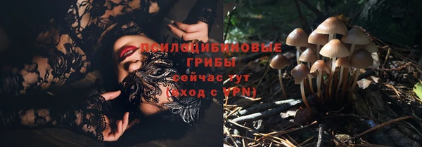 гашик Каменка